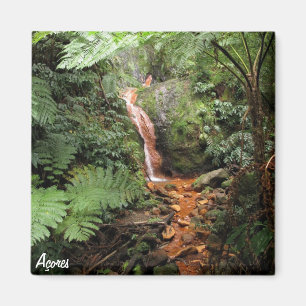 Azores magnet- Caldeira Velha Magnet