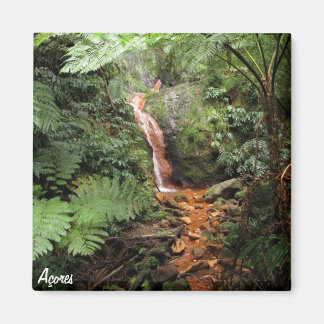 Azores magnet- Caldeira Velha Magnet