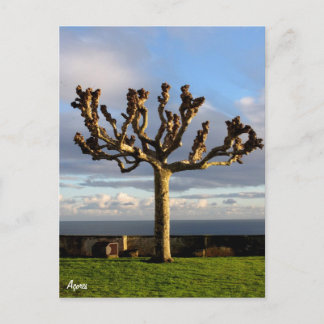 Azores Postcard-Ermida da mae de Deus Postcard