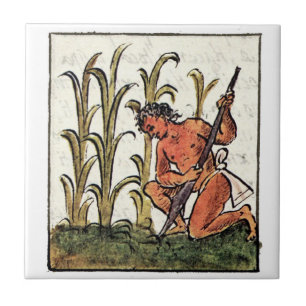 Aztec Farmer Cultivating Maize Ceramic Tile