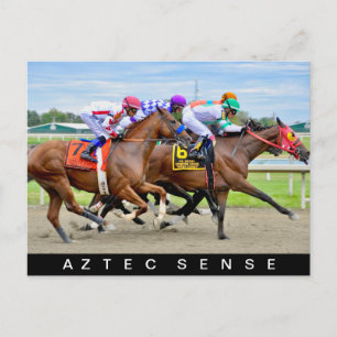 Aztec Sense Postcard