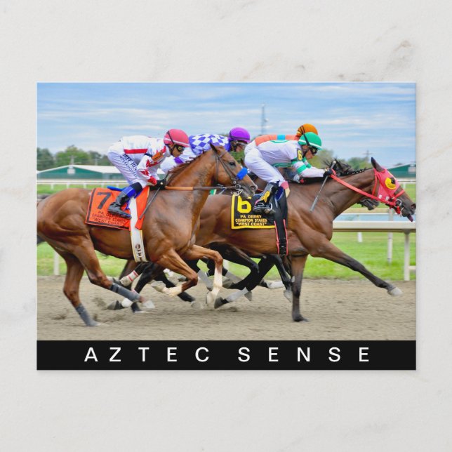 Aztec Sense Postcard (Front)