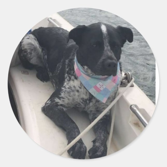 Azul First Mate Classic Round Sticker (Front)