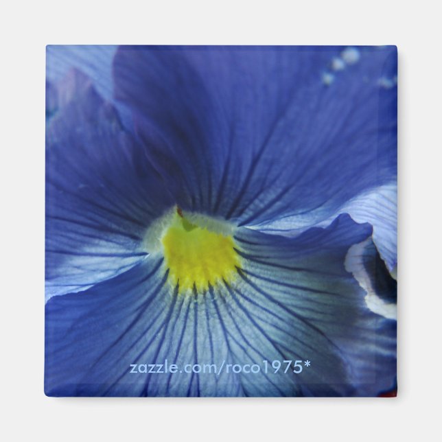 Azul Magnet (Front)