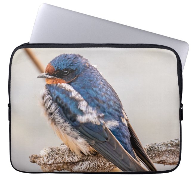 Azure Avian: Barn Swallow Canadian Wild Bird Laptop Sleeve (Front)