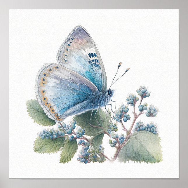 Azure Blue Butterfly Art Print Poster (Front)