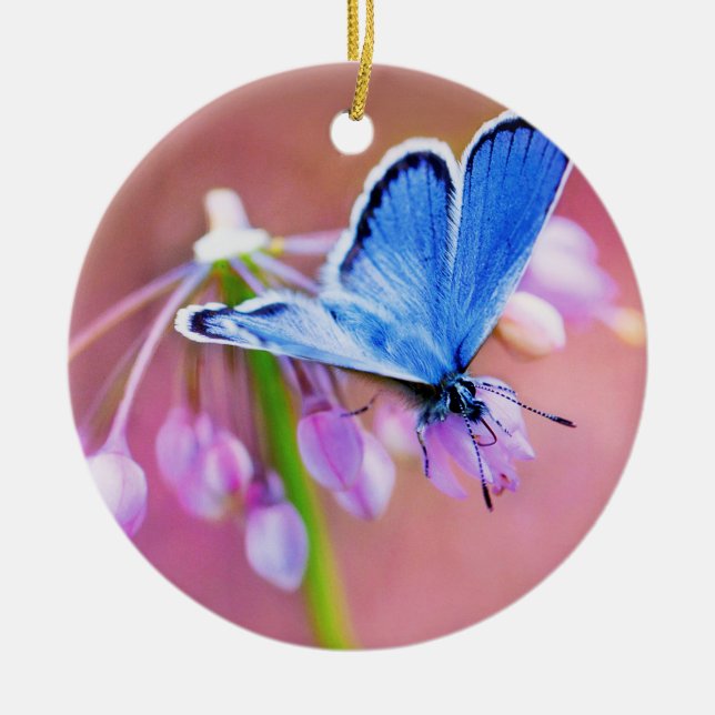Azure Butterfly Ceramic Ornament (Front)