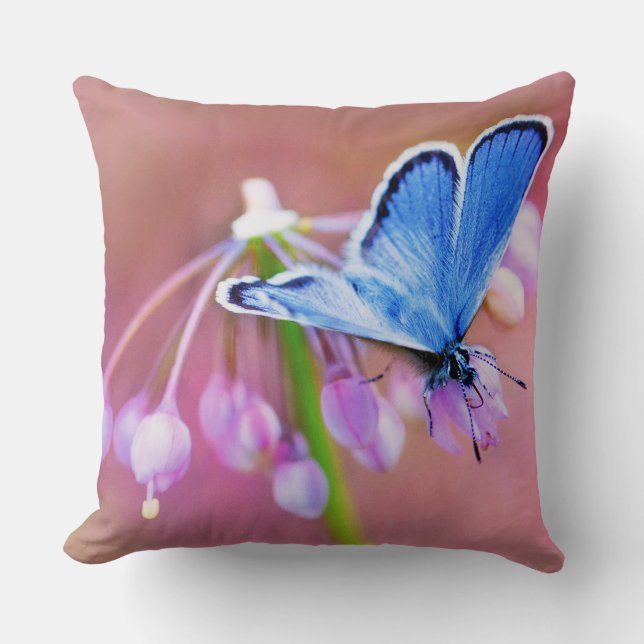 Azure Butterfly Cushion (Front)