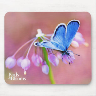 Azure Butterfly Mouse Pad