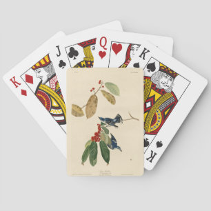 Azure (Cerulean) Warbler, Audubon Birds of America Playing Cards