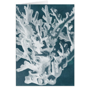 Azure Coral I