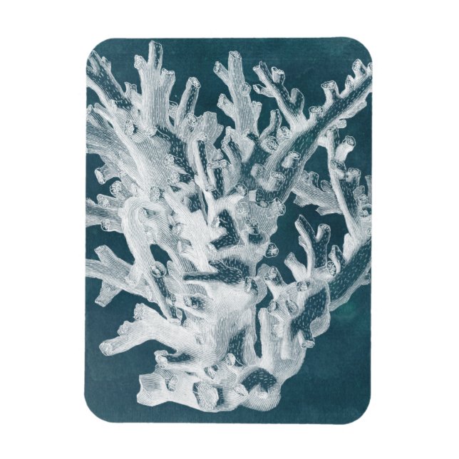 Azure Coral I Magnet (Vertical)