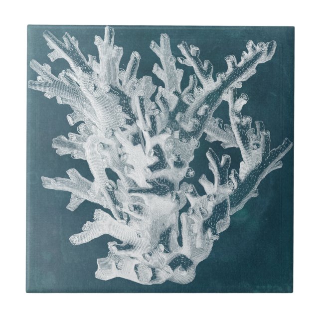 Azure Coral I Tile (Front)