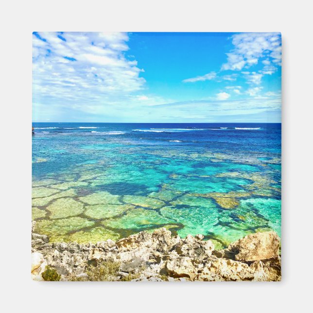 Azure Ocean Reef Magnet (Front)