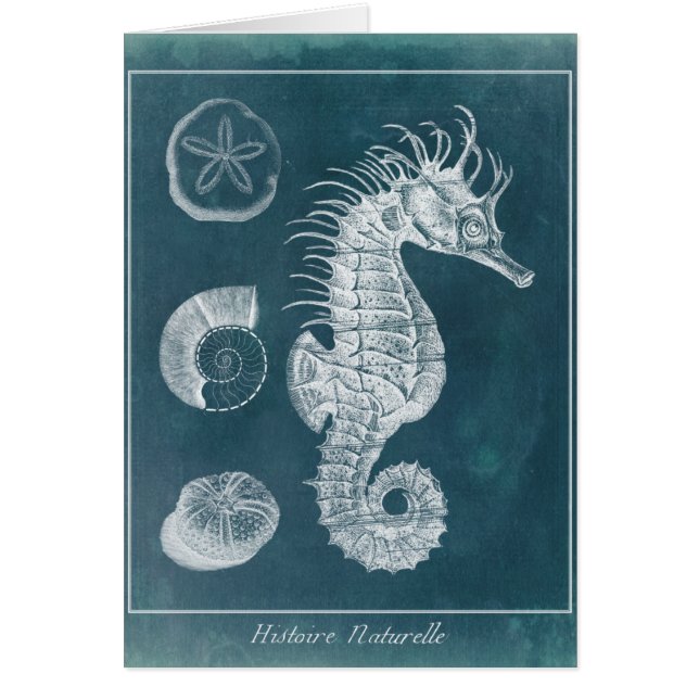 Azure Seahorse Study I (Front)