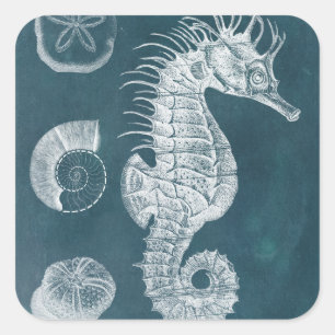 Azure Seahorse Study I Square Sticker