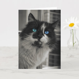 Azure Soul Black Cat Blue Eyes Greeting Card