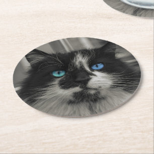 Azure Soul Black Cat Blue Eyes Round Coaster