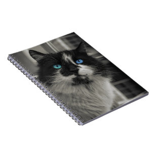Azure Soul Black Cat Blue Eyes Spiral Notebook