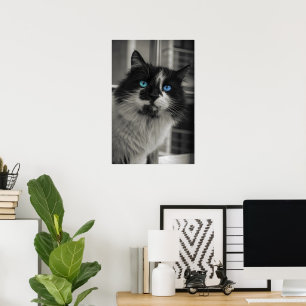 Azure Soul Blue Eyes Black and White Cat Fine Art Poster