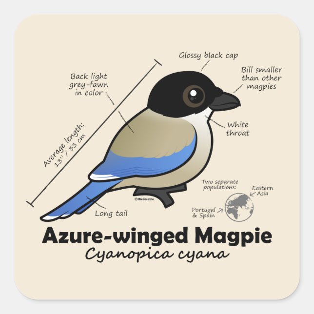 Azure-winged Magpie Statistics Square Sticker (Front)