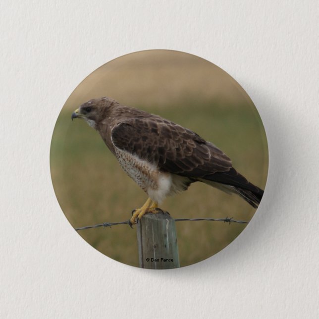 B10 Swainson's Hawk 6 Cm Round Badge (Front)