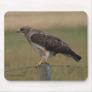 B10 Swainson's Hawk Mouse Pad
