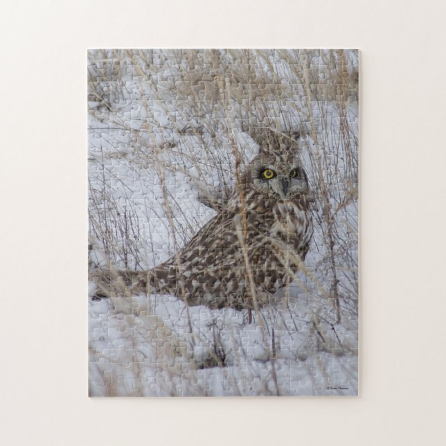 B11 Short-eared Owl Jigsaw Puzzle (Vertical)