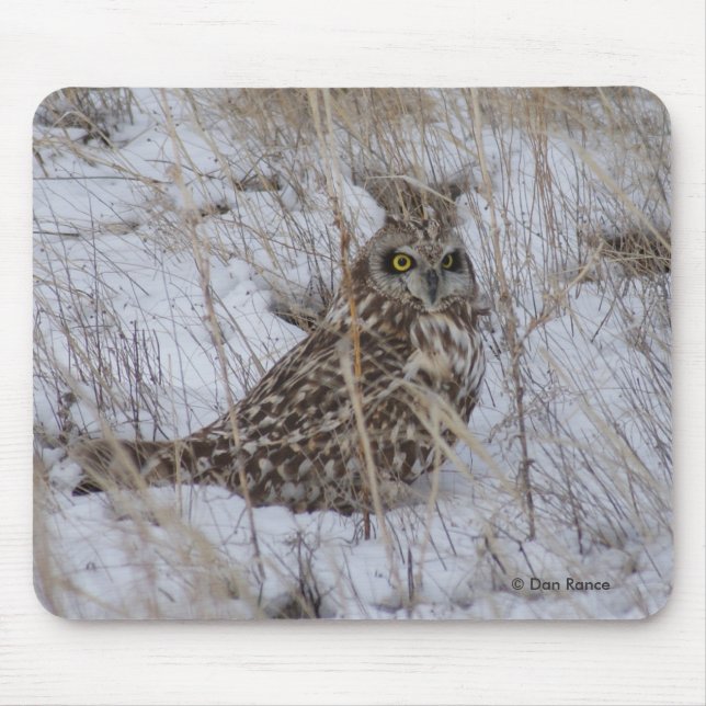 B11 Short-eared Owl Mouse Pad (Front)