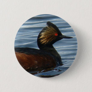B13 Eared Grebe 6 Cm Round Badge