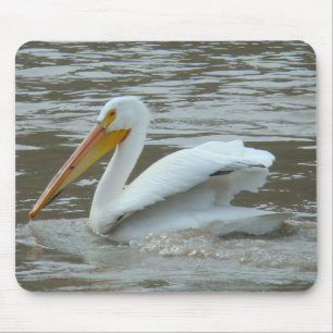 B14 American White Pelican Mouse Pad