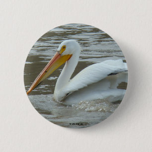 B14 White Pelican 6 Cm Round Badge
