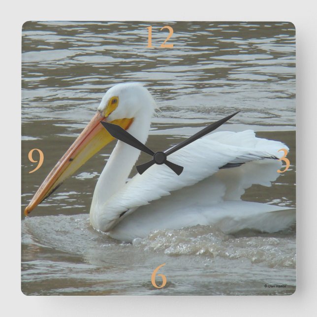 B14 White Pelican on Muddy River Square Wall Clock (Front)