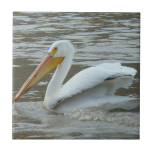 B14 White Pelican on Muddy River Tile
