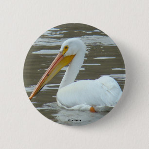 B15 White Pelican 6 Cm Round Badge