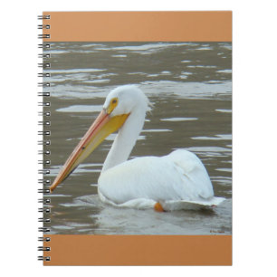 B15 White Pelican on Muddy Water Notebook