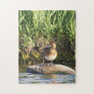 B18 Lesser Scaup Standing on Rock Jigsaw Puzzle