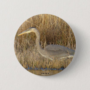 B19 Great Blue Heron Juvenile 6 Cm Round Badge