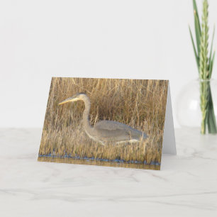 B19 Juvenile Blue Heron Card