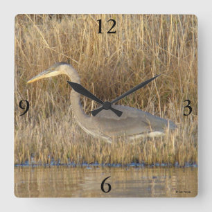 B19 Juvenile Great Blue Heron Square Wall Clock