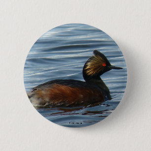 B1 Eared Grebe 6 Cm Round Badge