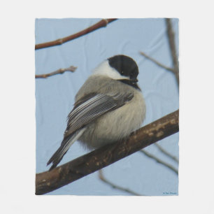 B21 Black-capped Chickadee Fleece Blanket