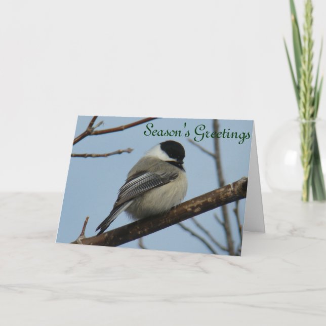 B21 Black Capped Chickadee Holiday Card (Front)