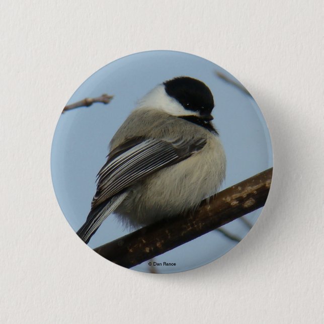 B21 Chickadee 6 Cm Round Badge (Front)
