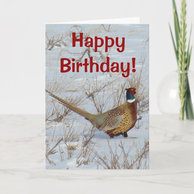 B22 Ring-necked Pheasant Card (Front)
