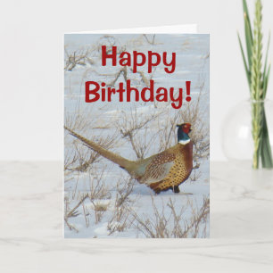 B22 Ring-necked Pheasant Card