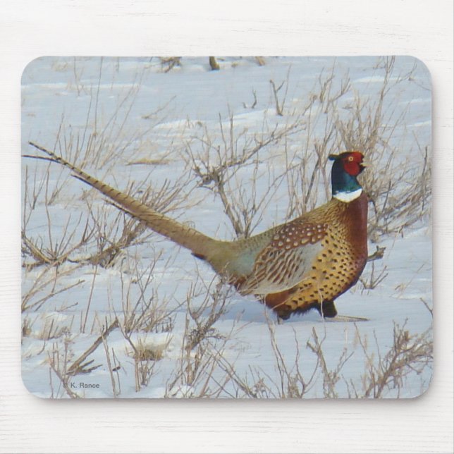 B22 Ring-necked Pheasant in Snow Mouse Pad (Front)