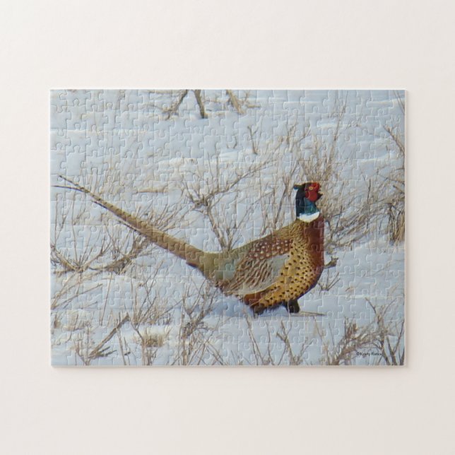 B22 Ring-necked Pheasant Jigsaw Puzzle (Horizontal)