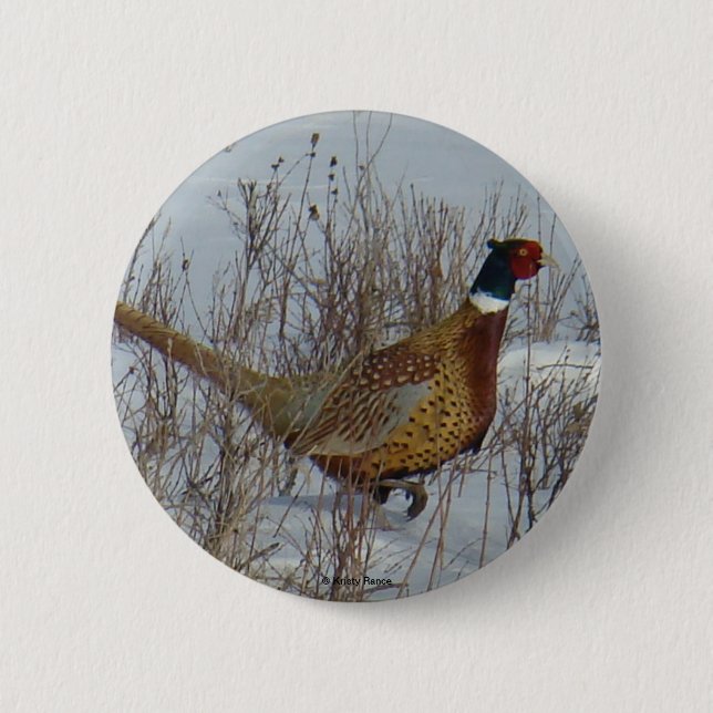 B23 Ring-necked Pheasant . 6 Cm Round Badge (Front)
