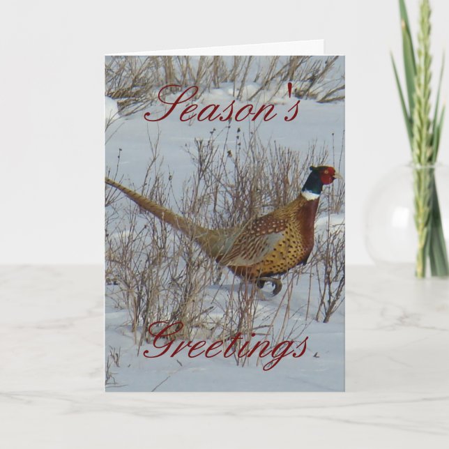 B23 Ring-necked Pheasant Card (Front)